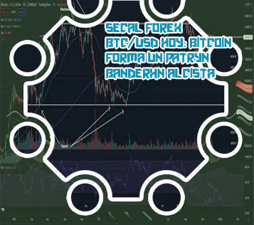 Cota&ccedil;&atilde;o btc dolar